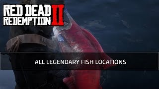 All Legendary Fish Locations  Red Dead Redemption 2 Guide [upl. by Aivek]