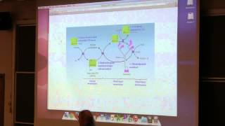 Aherns BB 350 at OSU  29 Citric Acid Cycle [upl. by Thekla]