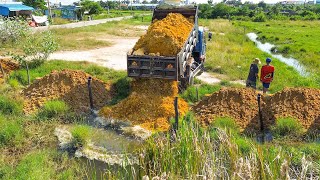 Starting New Project Landfilling by Excellent skill Driver Bulldozer KOMATSU Pushing Soil Rock [upl. by Namie]