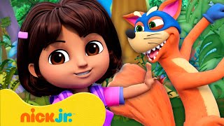 Dora  ¡Los Robos Más Astutos de Swiper 🦊 2  20 Minutos  Nick Jr en Español [upl. by Hamford465]