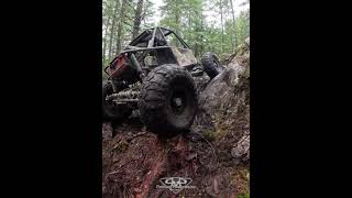 Tricky Climb in the Rock Lizard Rock Buggy rockcrawling [upl. by Lucier835]