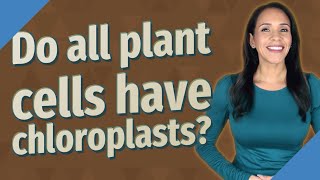 Do all plant cells have chloroplasts [upl. by Cerracchio]