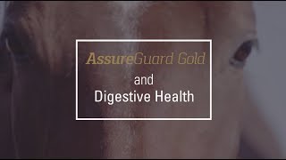 Assure Guard Gold and Digestive Health [upl. by Annor]