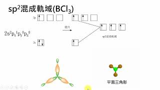 高中化學｜混成軌域2 [upl. by Neleag]