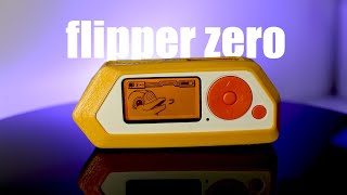 Flipper Zero Truth or Hype [upl. by Nyrmak]