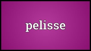 Pelisse Meaning [upl. by Elman]