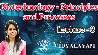 Agarose Gel electrophoresis  Biotechnology  Principle and processes  Lecture 3  NEET [upl. by Gabor223]