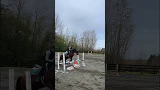 He was amazing today Using my new half pad and safety stirrups horsesaremylifepony ponylover [upl. by Aldarcy]