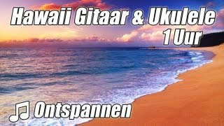 HAWAIIAANSE Muziek Playlist Ukulele Chill Out Akoestische Gitaar Instrumentale Beste 1 Uur Studie H [upl. by Akihsay]