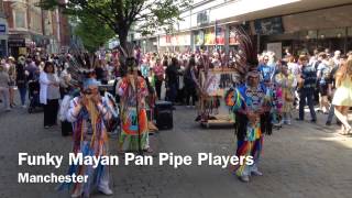 Mayan Pan Pipe Players [upl. by Lihp]