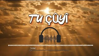 Ivana Aslan  Tu Çûyî  Kurdish Music [upl. by Guild357]