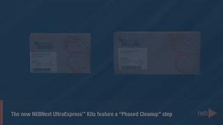 Phased Cleanups for NEBNext UltraExpress™ Kits [upl. by Joris607]