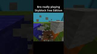 Minecraft Skyblock Free Edition [upl. by Ytteb]