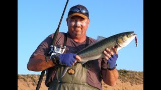 Browns Beach Salmon Fishing  Innes National Park South Australia [upl. by Annoyk]