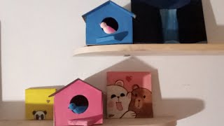 Bird house diy 🐦🏠🎀 diy craft youtube [upl. by Frey997]