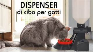 Dispenser di cibo per gatti [upl. by Pliske]