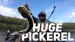 Quick trip for BIG PICKEREL on Mongaup Falls Reservoir [upl. by Anikat]