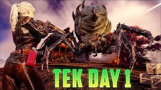 How A 100000 Hour Tribe Plays wipe day  BAMS ARK [upl. by Solana]