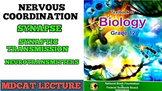 SYNAPSE  SYNAPTIC TRANSMISSION  NEUROTRANSMITTER AND TYPES CLASS 12 BIOLOGY FEDERAL AKU MDCAT [upl. by Acsirp767]