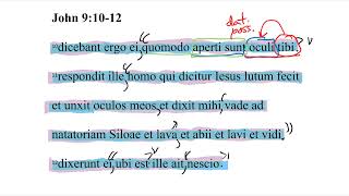 John 91012 Latin Vulgate [upl. by Hassett]