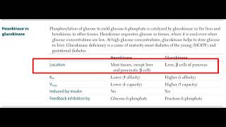 Hexokinase vs Glucokinase 6 [upl. by London]