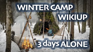 Winter Bushcraft  WIKIUP Shelter  3 Days ALONE in WINTER Forest  BUSHCRAFT Trip amp Skills  ASMR [upl. by Annodal406]