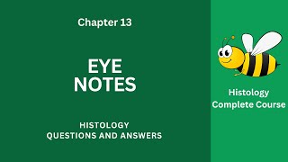 Eye Notes PDF  Eye Questions Answers  Class 912 Ch 13 Exam Notes  Histology eBook App Download [upl. by Tuesday]