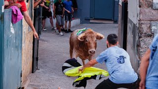 Toros tercera tarde Barrio SANT PERE  Toro de calle  Onda [upl. by Asilehc]