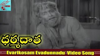 Evarikosam Evadunnadu Video song  Dharma Daata Movie  ANR Kanchana  MovieTimeCinema [upl. by Whatley]