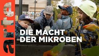 Die Macht der Mikroben  Doku HD  ARTE [upl. by Krauss509]