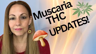 Amanita Muscaria And Cannabis Update [upl. by Asirb]