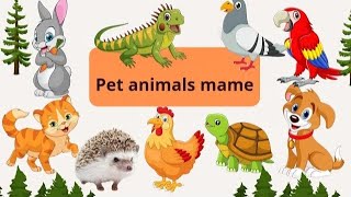 Pet Animals  Learning Video For Kids Preschool LearningPet Animal Sounds for kidsCuckooInfants [upl. by Dwayne]