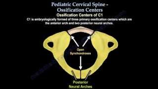 Pediatric Cervical Spine Ossification Centers  Everything You Need To Know  Dr Nabil Ebraheim [upl. by Bodnar]