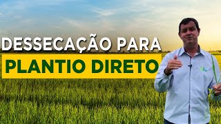 Como Fazer A Dessecação Para Plantio Direto  com Prof Francisco Cláudio [upl. by Ayotna]