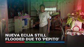 Nueva Ecija towns overwhelmed by floodwaters due to Pepito [upl. by Nahtnanhoj]