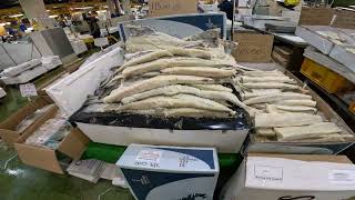 Come with me to billingsgate fish market london [upl. by Hendrik386]