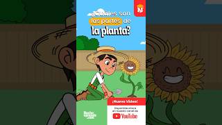 canción de las plantas medioambiente niños cancionesinfantiles [upl. by Rumpf]