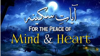 Stress Relieving Recitation  Ayat of Tranquility  Sakinah  آيات السكينة [upl. by Nonna]