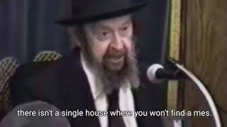 Rav Avigdor Miller on War  We need to Cry Out to Hashem [upl. by Madelon715]