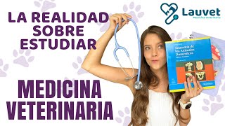 LO QUE DEBES SABER SI QUIERES ESTUDIAR VETERINARIA  Lauvet [upl. by Nosreve]