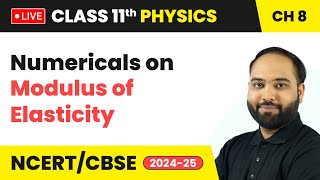 Numericals on Modulus of Elasticity  Mechanical Properties of Solids  Class 11 Physics Ch 8 live [upl. by Arihsan]