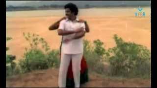 Chandurudu Ninnu Chusi Video Song  Mangamma Gari Manavadu [upl. by Brinn205]