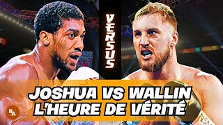 Wilder provoque Joshua Broly vs Otto Wallin présentation du combat [upl. by Gleda]