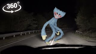 360° Huggy Wuggy found alone on the road [upl. by Mas515]