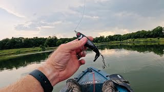 Whopper Plopper Bass Fishing I love top water strikes [upl. by Hospers]