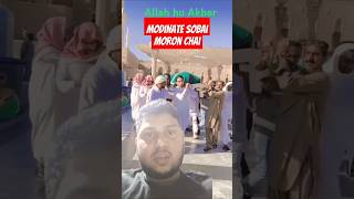 Modinate sobai moron chai islam greenscreen death [upl. by Noirred]