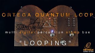 Ortega QUANTUMloop  looping and overdubbing [upl. by Abbe]