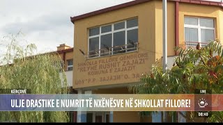 Kërçovë  Ulje drastike e numrit TË nxënësve në shkollat fillore – Ritmi i Ditës – TVM2 [upl. by Jung724]