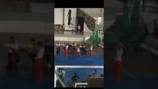 martialarts olympics viralvideo tournament shortvideo [upl. by Elene]