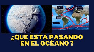 ¿QUE ESTÁ PASANDO EN EL OCÉANO LA CORRIENTE DEL GOLFO Y EL CAMBIO CLIMÁTICO [upl. by Comstock572]